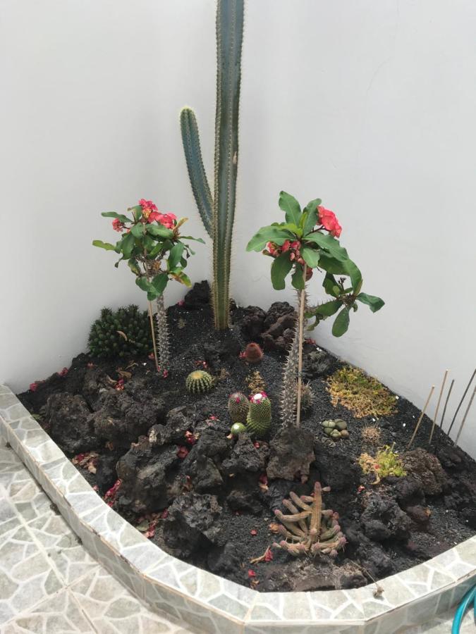 פוארטו דל כרמן Apartamento Piscis מראה חיצוני תמונה